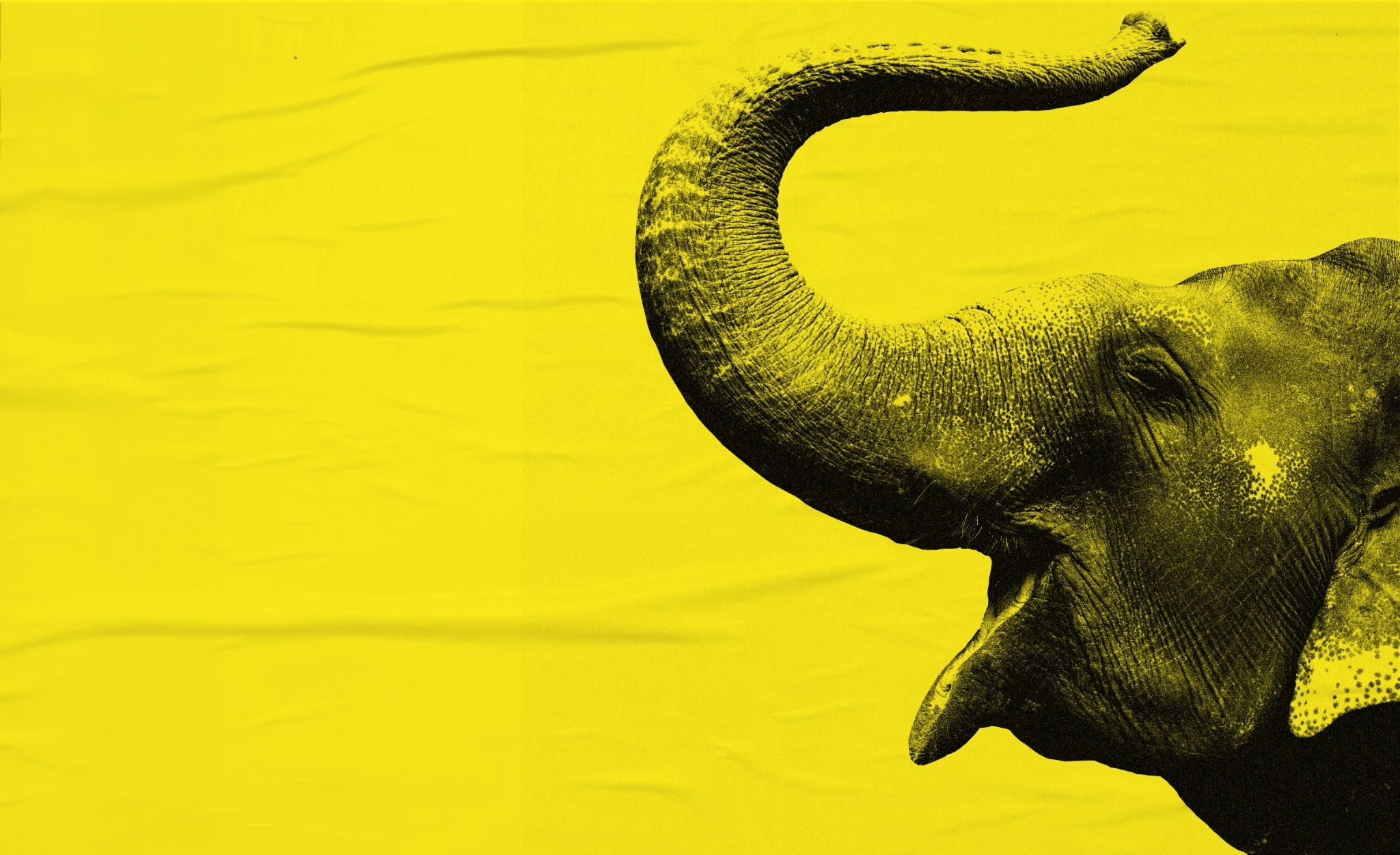 An Elephant with its trunk up and mouth open.